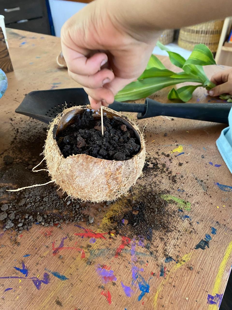 Pasantía Intensiva La Floresta